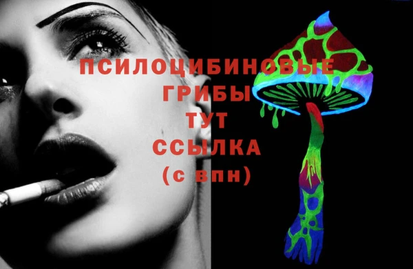 молекула духа Ростов