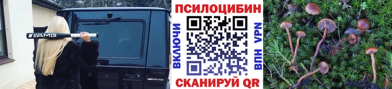 Псилоцибиновые грибы Magic Shrooms  Биробиджан 