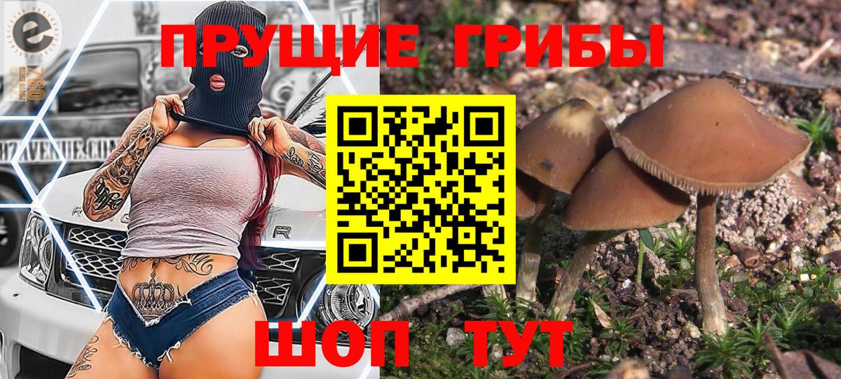 Псилоцибиновые грибы мухоморы Биробиджан