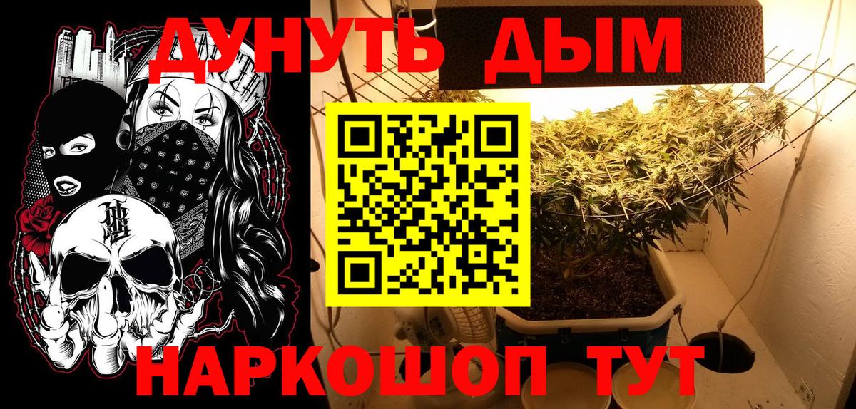 Канабис сатива  Вход с VPN  Биробиджан  Каннабис марихуана 